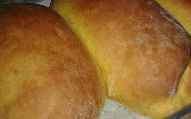 Pão de cenoura