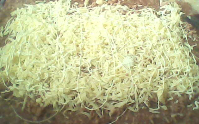 Rocambole de carne moída