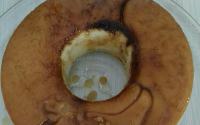 Pudim de pão no micro-ondas