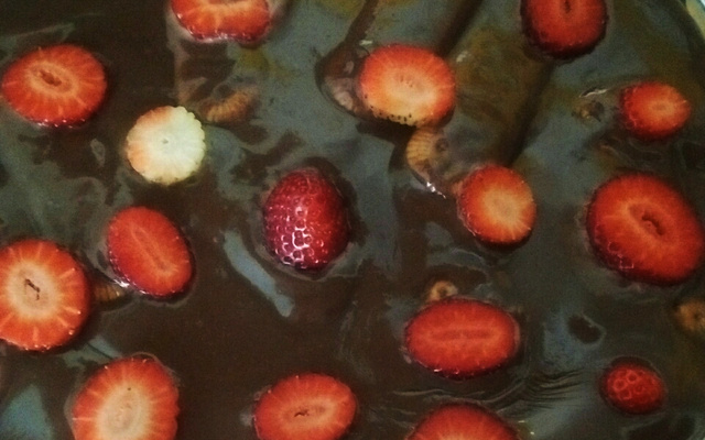 Pavê de chocolate preto e chocolate branco