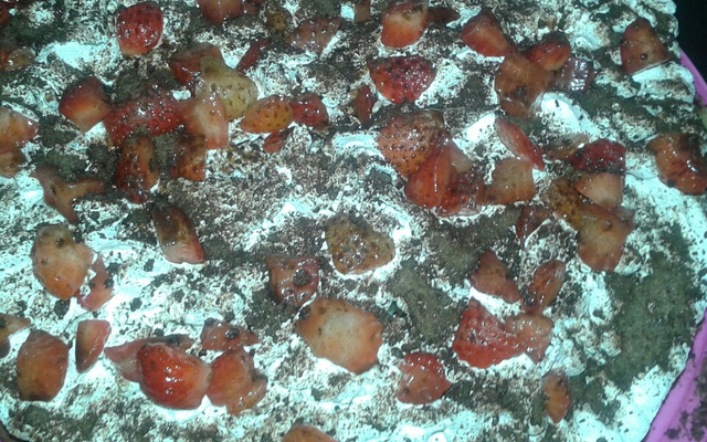 Bolo de chocolate com cobertura de morango do amor