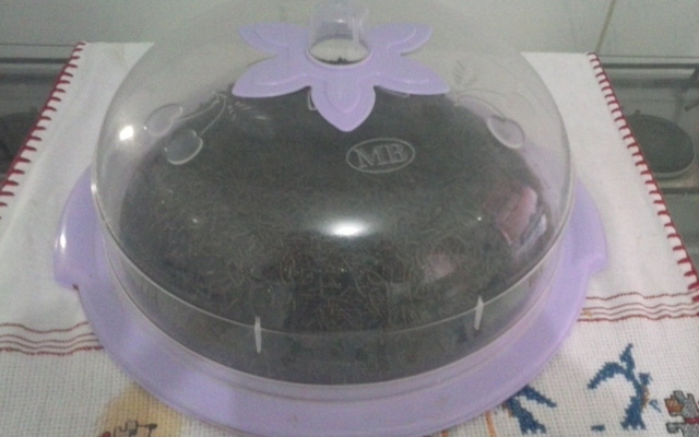 Bolo de chocolate sem farinha de trigo