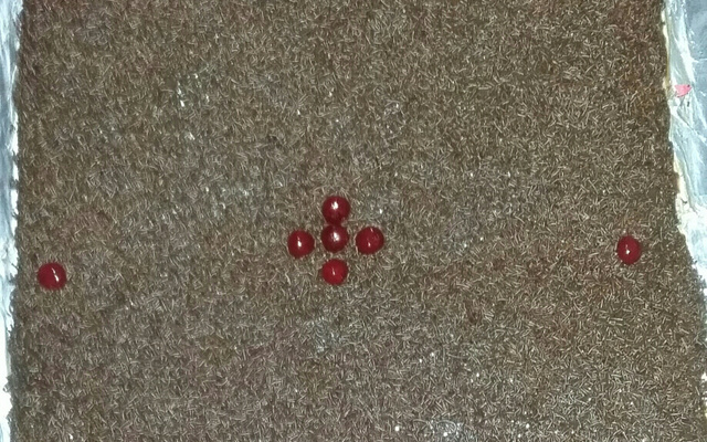 Bolo de brigadeiro cremoso