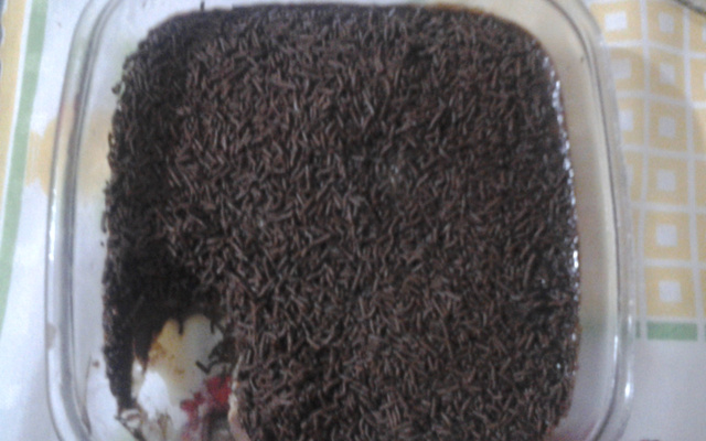 Sobremesa prestígio prática