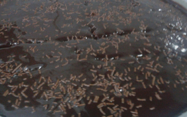 Cobertura de chocolate com creme de leite