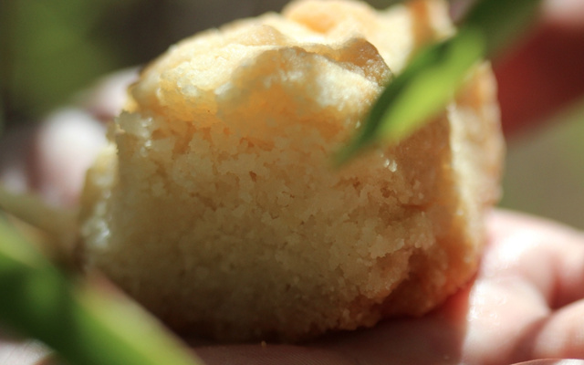 Pão murcho de arroz (sem glúten)