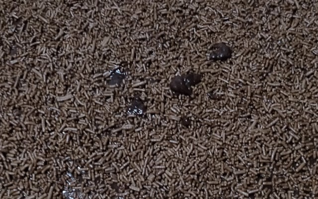 Bolo de cenoura com cobertura de chocolate especial da Ani