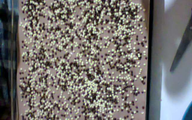 Torta de bolacha de leite condensado e nata