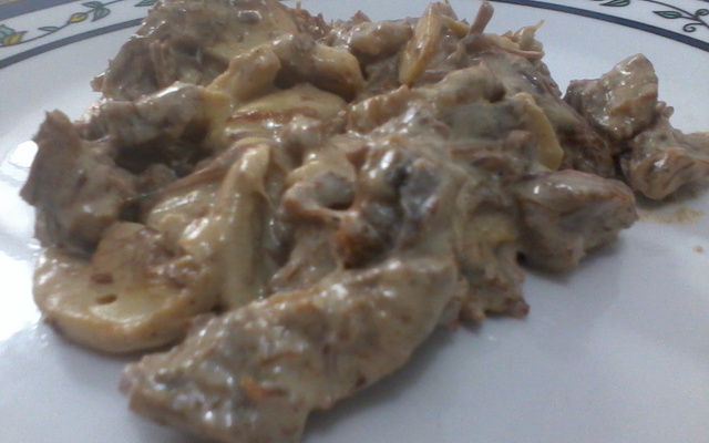 Estrogonofe de lombo agulha