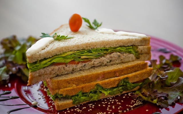 Sanduíche natural de atum