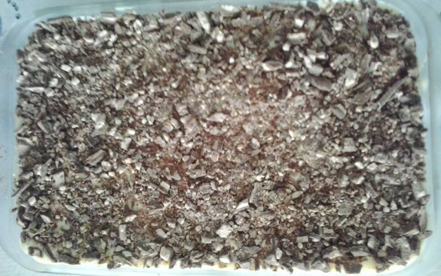 Pavê de leite condensado