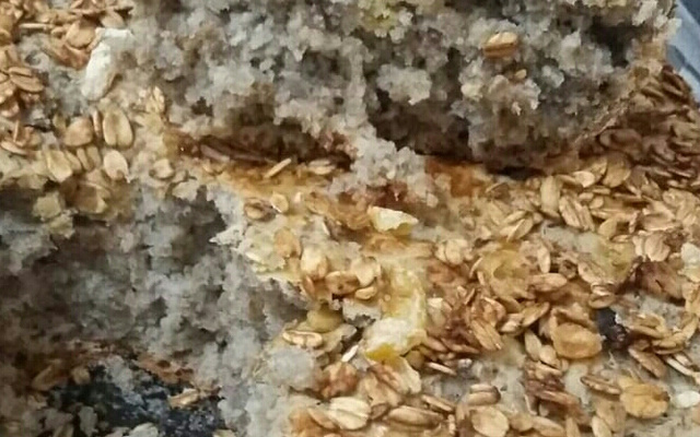 Pão Integral ( feito com trigo de quibe)