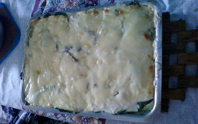 Lasanha de legumes