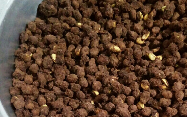 Amendoim de pipoqueiro