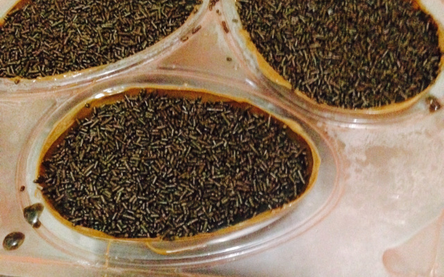 Ovo de Páscoa trufado com brigadeiro caseiro