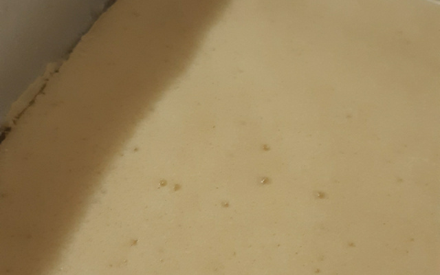 Massa de pizza de liquidificador