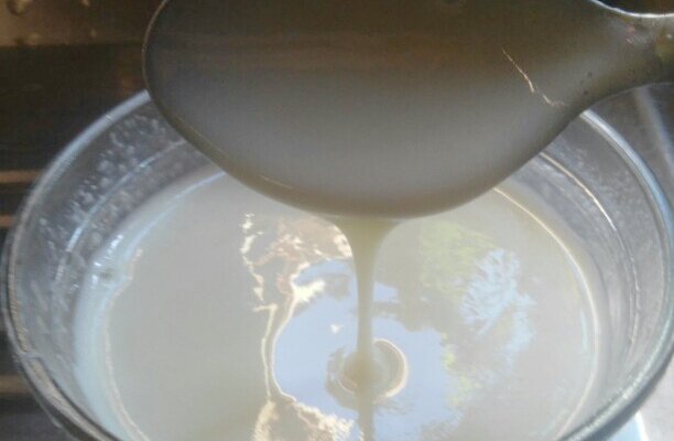 Leite condesado caseiro