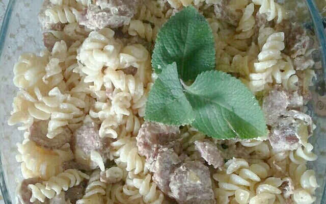 Macarrão com linguiça calabresa e creme de leite