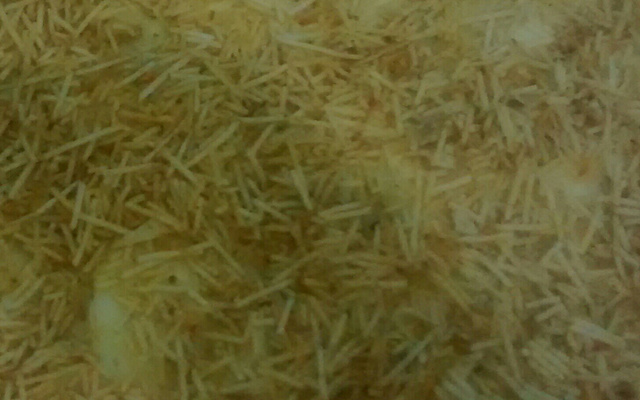 Lasanha de frango sem massa