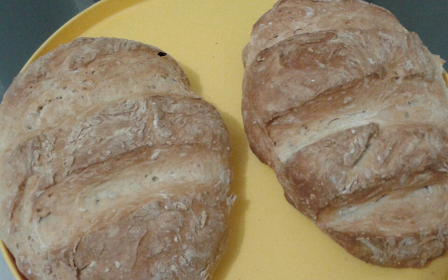 Receita básica de pão