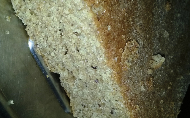 Pão integral de liquidificador