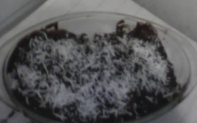 Panqueca doce recheada com beijinho cobertura de chocolate