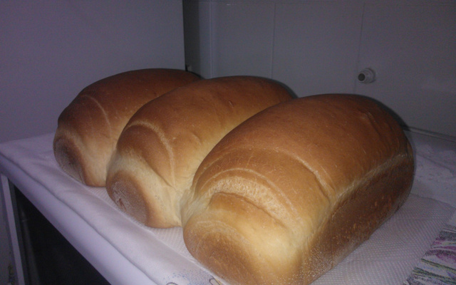 Pão sovado dos pampas