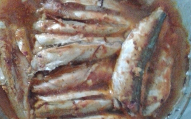 Cavalinha ao molho de tomate