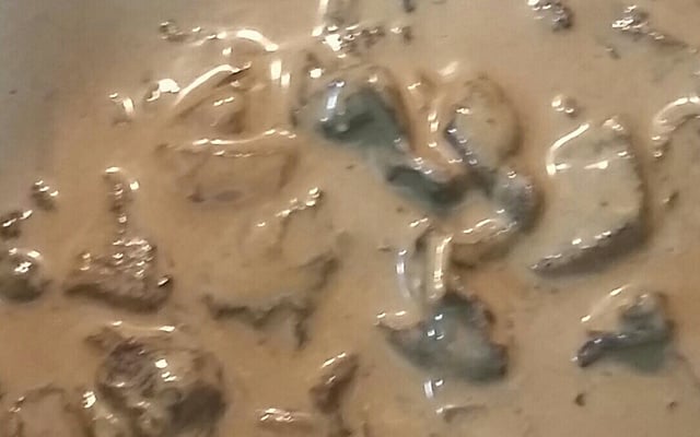 Molho de funghi secchi