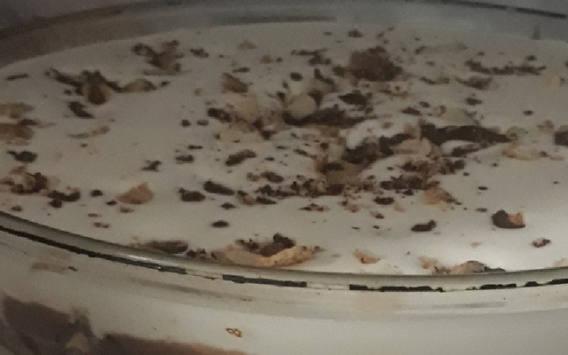 Delícia de Sonho de Valsa