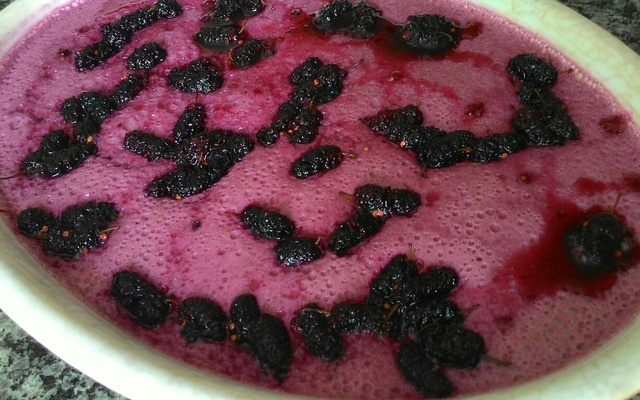 Mousse de amora