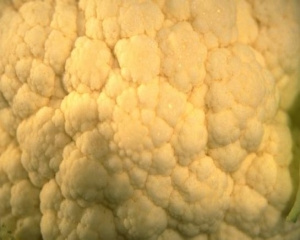 Couve-flor recheada