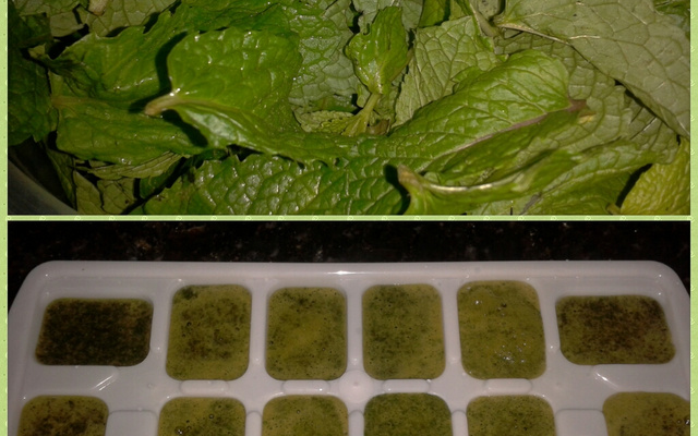 Hortelã em cubos para sucos