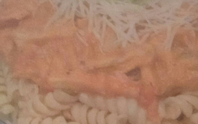 Macarrão com frango