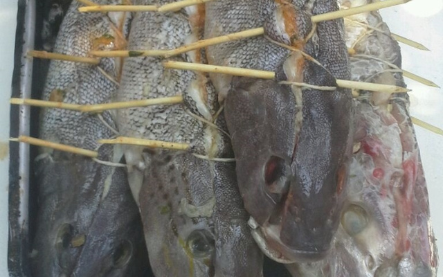 Namorado recheado com molho de camarão