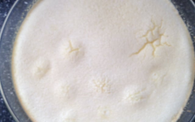 Torta de leite condensado e goiabada