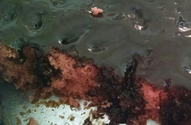 Bolo de nesquik de Prieguardian