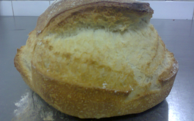 Panhoca com  queijo gorgonzola