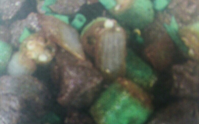 Bife em tiras com quiabo