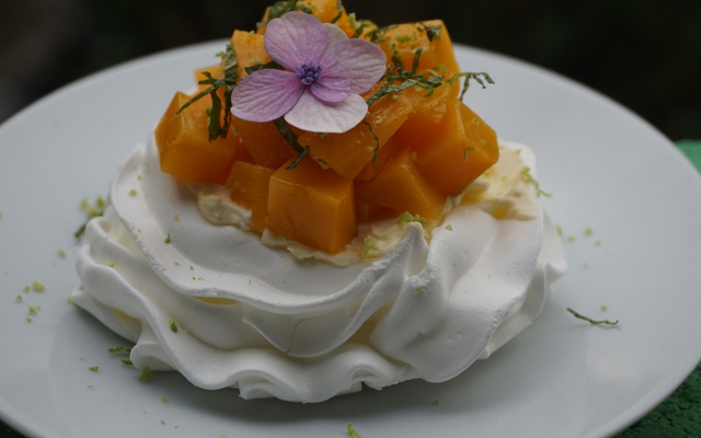 Pavlova de manga