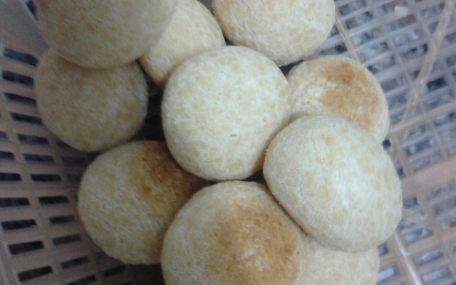 Pão de queijo maravilhoso