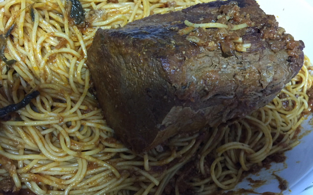 Lagarto com espaguete