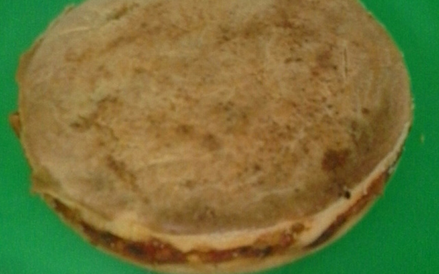 Bolo salgado de liquidificador para o lanche