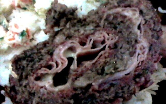 Rocambole de carne simples