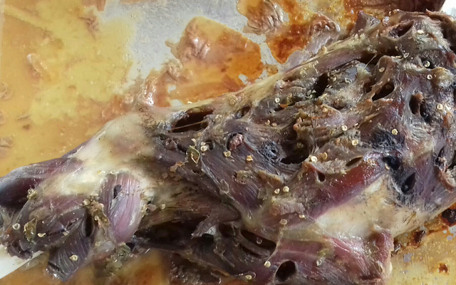 Carneiro assado no forno