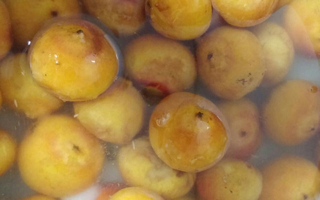 Licor aperitivo com butiá