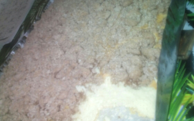 Cuca com farofa de canela