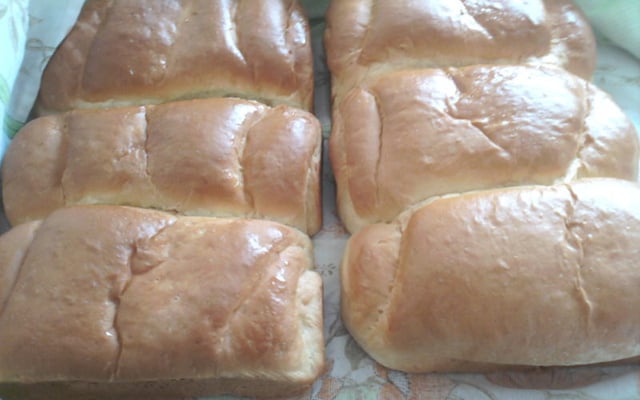 Pão caseiro da Tia Dita