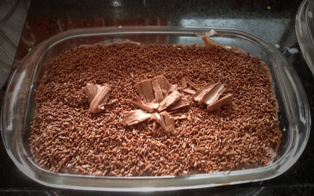 Pavê de biscoito champagne