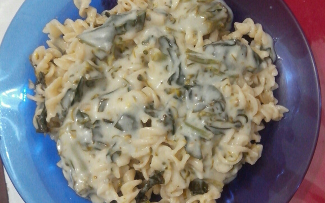 Macarrão com molho de queijo e brócolis